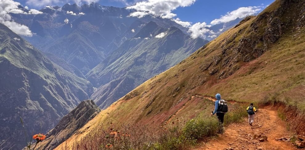 WhatsApp Image 2026-03-19 at 12.18.04 (1)