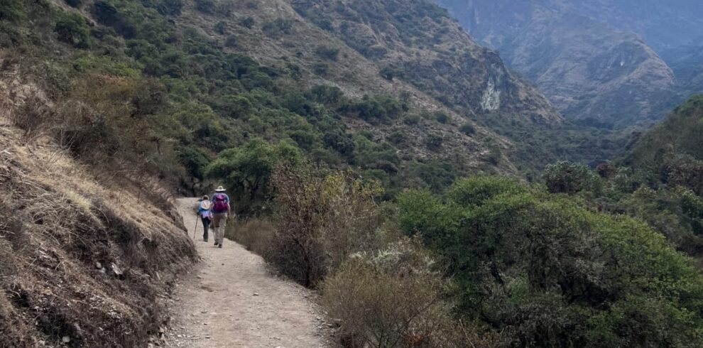 WhatsApp Image 2026-03-24 at 18.18.12